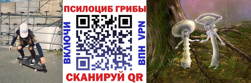 Галлюциногенные грибы Psilocybe  Купить где  Горняк 