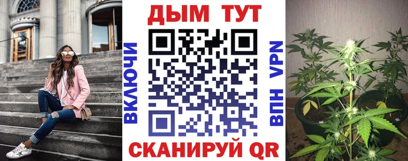 Купить где  Горняк  Канабис Bruce Banner 